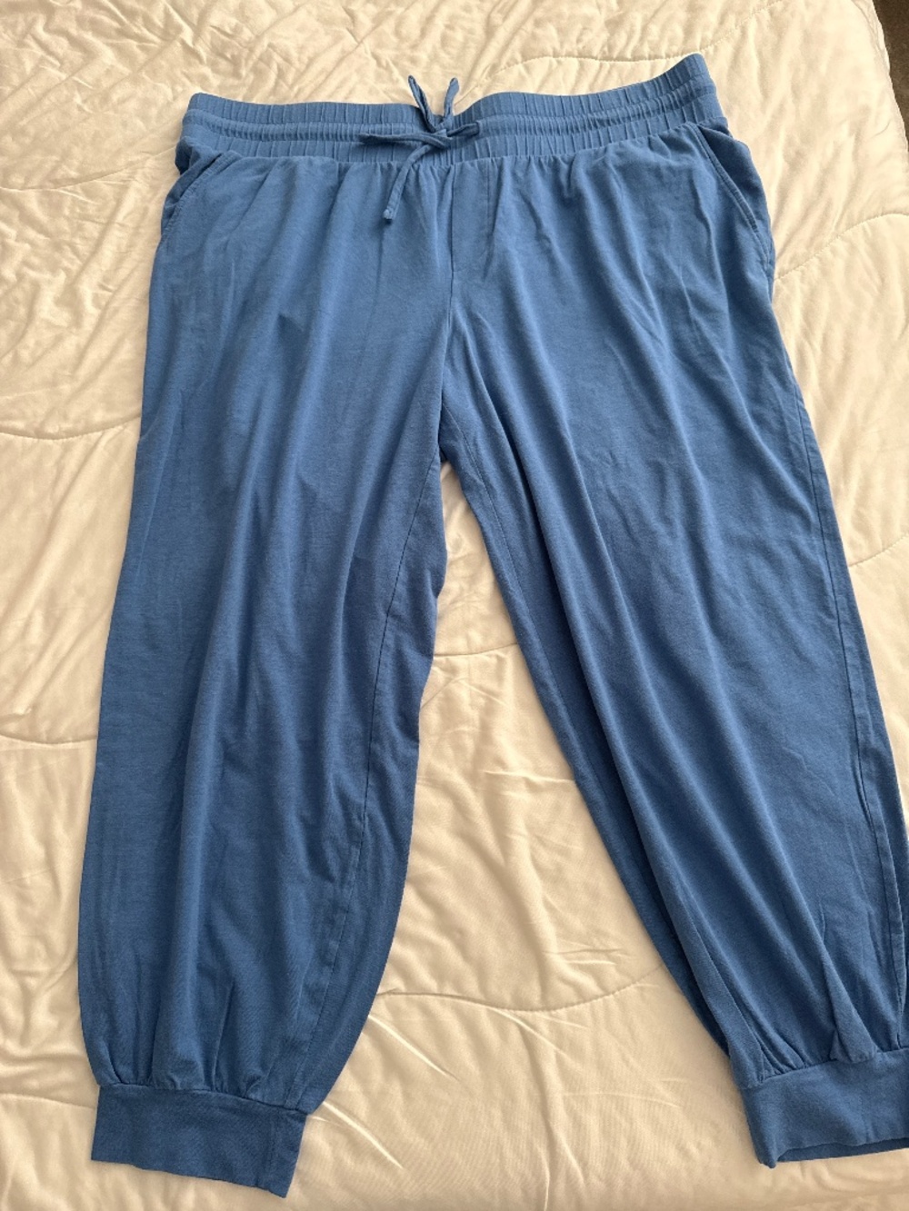 Anybody jogger pants womens Large petite